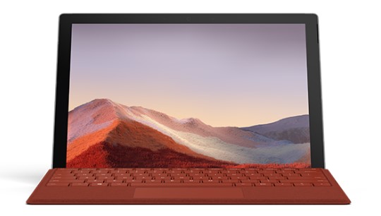 庐山清洁和维护 Surface